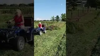 Заготовка сена, грабли John Deere середины 1800-х годов. #шорты