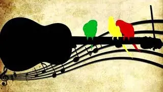 Acoustic Reggae Beat