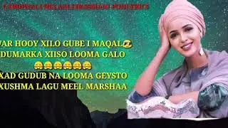 Xamdi bilan war hooy xilo gube (lyrics)