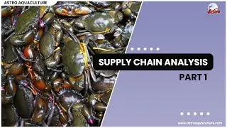 Supply Chain Analysis   Part 1