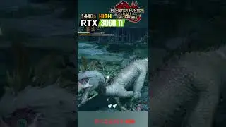 Monster Hunter Rise | RTX 3060 Ti | 1440p