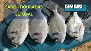 #13 – RIO SADO – DOURADAS | SADO RIVER – SEA BREAM | SETÚBAL