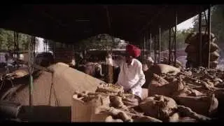 BJP Rajasthan Election Campaign - Assembly Elections 2013