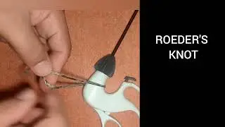 ROEDER'S KNOT 