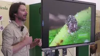 Coplaca Transmite, Jesús Quintano Sánchez: Control Biológico de Plagas en Cultivos