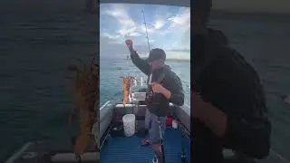Ledger rig on bottom while cleaning the boat.