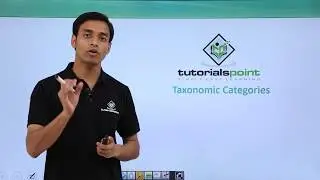 Class 11th &ndash; Taxonomic Categories | The Living World | Tutorials Point