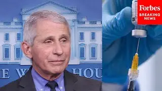 Fauci Explains How Much 3rd Shot Of Covid Vaccine Can Boost Immune Response