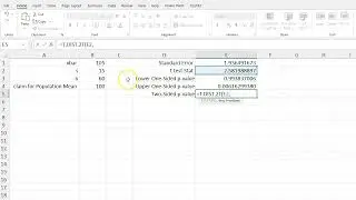 Using excel to perform a one sample t procedure