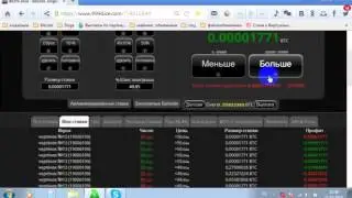 Strategy 999dice 0.25btc 4 minutes