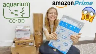 *UNBOXING* Fish Tank SUPPLIES from Amazon + Aquarium Co-op | New Tank!?