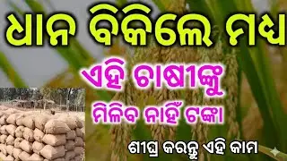 ମଣ୍ଡିରେ ଧାନ ବିକିଲେ ମଧ୍ୟ ମିଳିବ ନାହିଁ ଟଙ୍କା ଶୀଘ୍ର କରନ୍ତୁ ଏହି କାମ | Dhana mandi new update 2026