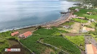 Fajã dos Vimes na Calheta Ilha São Jorge