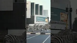 MarkLives #AdOfTheMonth Mar 2025: Investec&rsquo;s Zebra Crossing &bull; Leagas Delaney SA #ReadersChoice