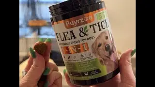 Highly Recommend This 5-in-1 Dog Flea & Tick Chewables
