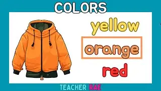 COLORS QUIZ || colors for beginners  - toddlers || kindergarten || Let's learn about COLORS