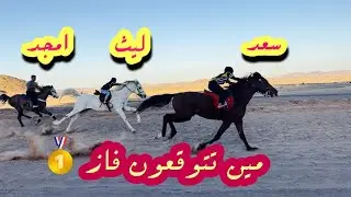 سباق 🐎 بين الأبطال ( اختيار الخيل عن طريق القرعه )