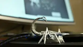 A scorpion on the run from the Seattle rain!