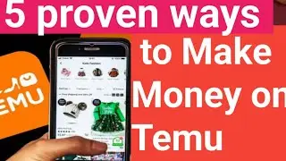 How to Make Real Money on Temu in 2025 | 5 Powerful Methods Explained