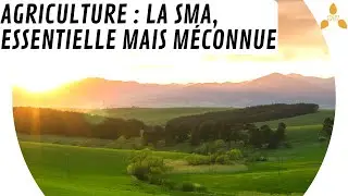 🐄 La SMA : Surface Minimale d'Assujetissement💸