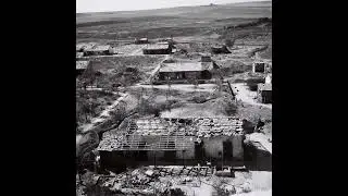 יצחק נוי - נגבה לא תיפול