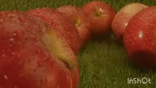 high quality food video good | Zubair YouTube food video 🍎🍏