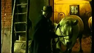 Fiera del Bue Grasso di Carrù (di Remo Schellino)