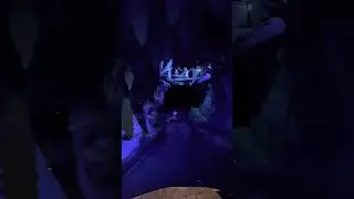 Last ride on Splash Mountain 11:47pm on Jan 22