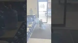 Adorable toddler helps family carry 5-gallon water jugs
