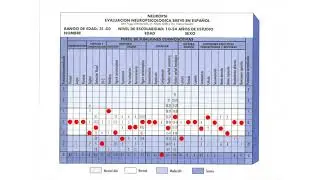 Graficación del Perfil del Neuropsi Breve