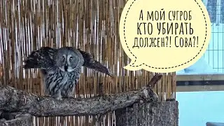 Мы заблокированы в деревне.Дорогу от трассы до деревни нам не чистят и не говорят,кто должен чистить