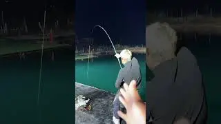 中国旅行直播 China Travel Live Streaming 2026/01/18 00:11:53.