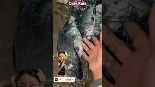 Only Katla#machala #fishing #fish #માછલી #OnlyKatla🐠🥶