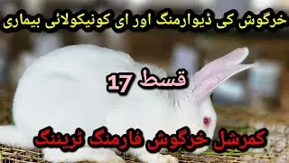 Rabbit Farming Training Episode 17 || E Cuniculi Disease & Rabbit Deworming