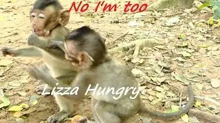 Adorable Orphan Copper &Lizza Hungry | Baby Lizza Screaming Find Looking Food | Monkey Crying