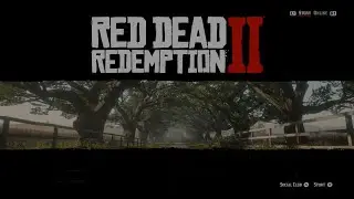 Red Dead Redemption 2 Chapter 4.3