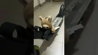 Квіточка научилась кататься на самокате🫶🏻 #labubu #лабубу #cute #scooter
