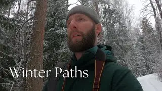 Walking Winter Paths | A Quiet Forest Journey in Finland
