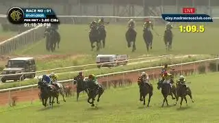MEMORY LANE wins The New Year Trophy