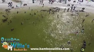 Bamboo Willlie's Music Fest 2021