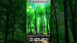 bugging out in the woods ( new video)