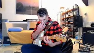THE RAMONES - SURFIN BIRD - GUITAR COVER