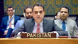 Pakistan Backs Renewed MONUSCO Mandate, Calls for Ceasefire. #unsc #un  Dec 22