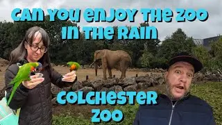 Colchester Zoo In The Rain #dayout #colchester #zoo