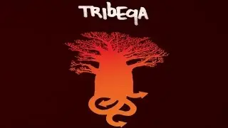 Tribeqa - Up And Down