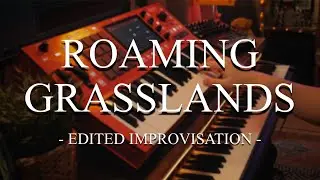 Immersive Live-Looped Music with the MPC Key 37 - Roaming Grasslands