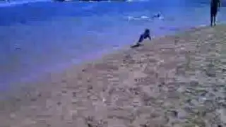 Hudson The Moosemon