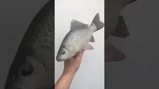 Carp Fish Carving 붕어목각