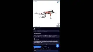 Day 2 Back Routine (Barbell Workout)