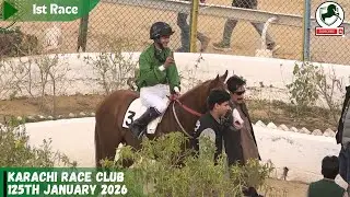 KRC  | 1st Race   25th January 2026  WINNER   YOUNG HERO